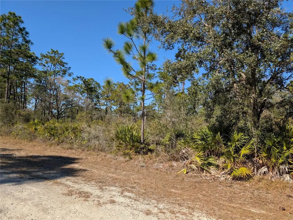 612 Magnolia Drive Indian Lake Estates FL 33855