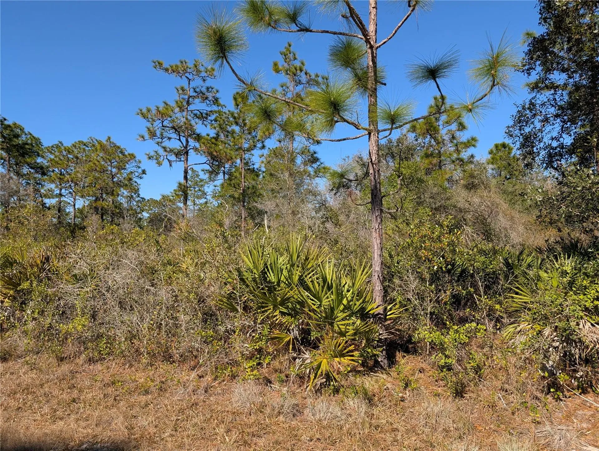 612 Magnolia Drive Indian Lake Estates FL 33855