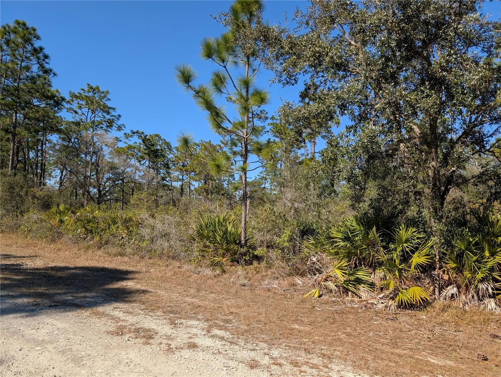 612 Magnolia Drive Indian Lake Estates FL 33855