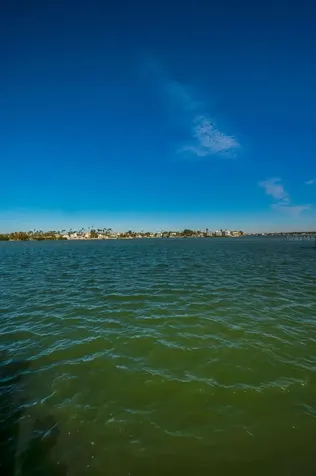 366 La Hacienda Drive Indian Rocks Beach FL 33785