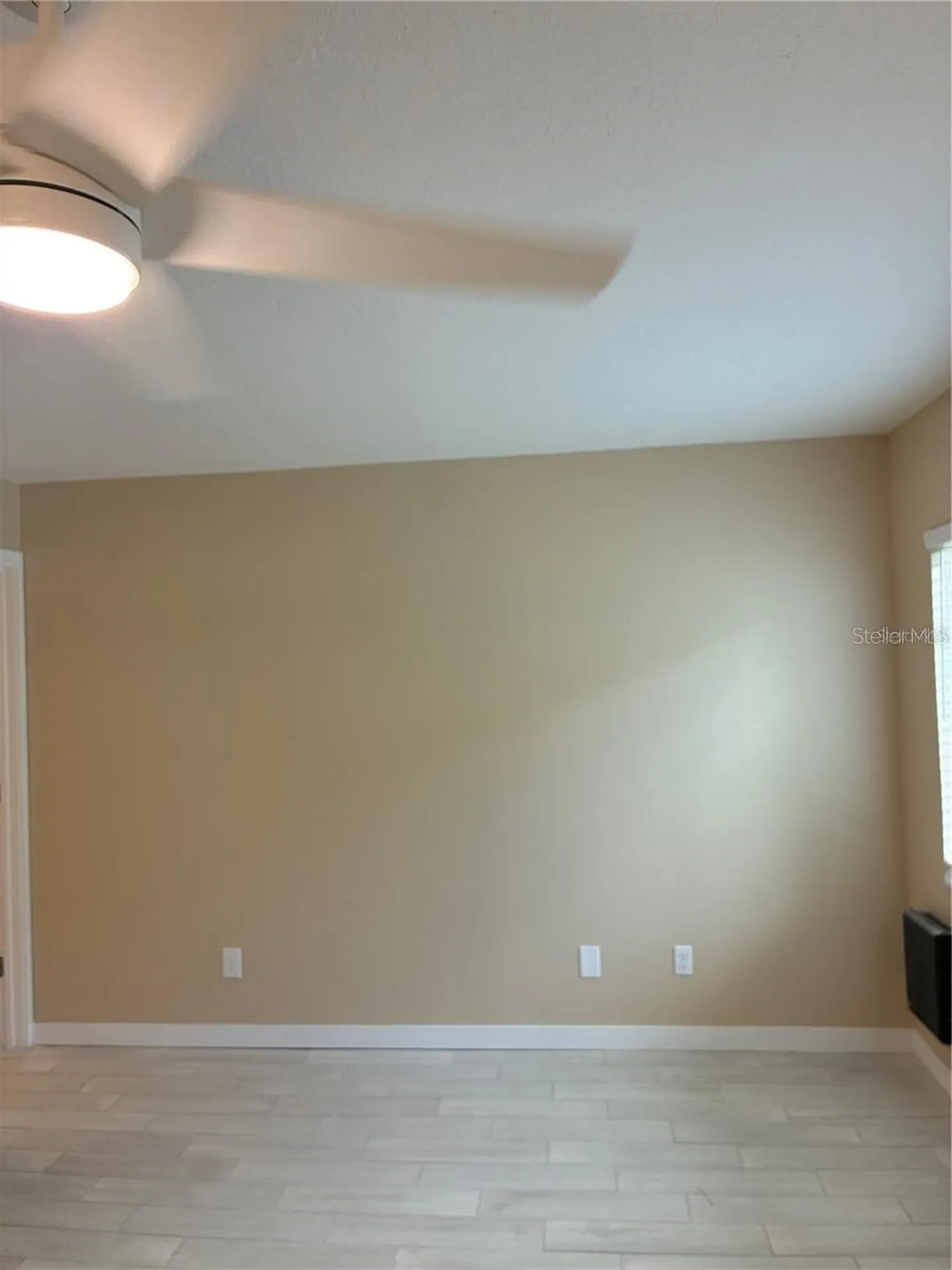 4131 Dolphin Drive Tampa FL 33617
