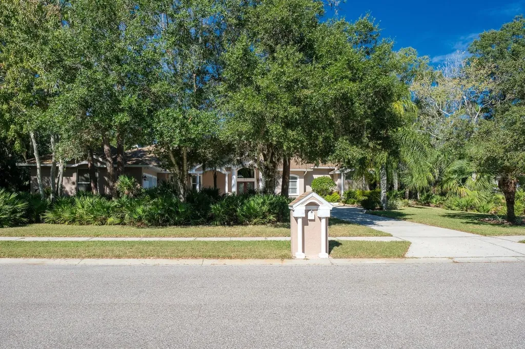110 Deerpath Drive Oldsmar FL 34677