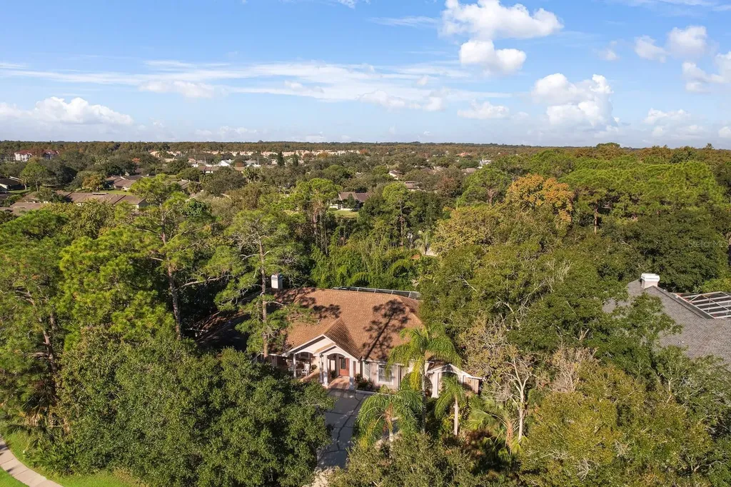 110 Deerpath Drive Oldsmar FL 34677