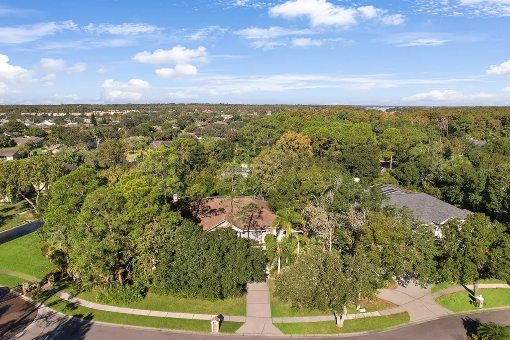 110 Deerpath Drive Oldsmar FL 34677
