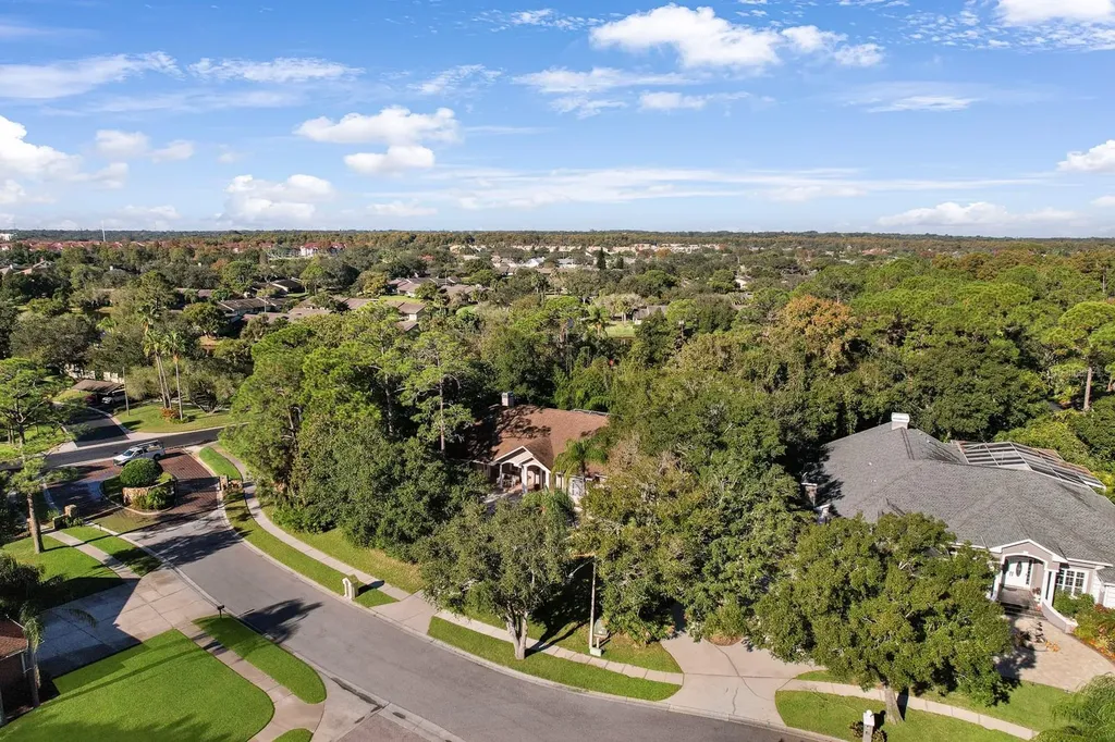 110 Deerpath Drive Oldsmar FL 34677