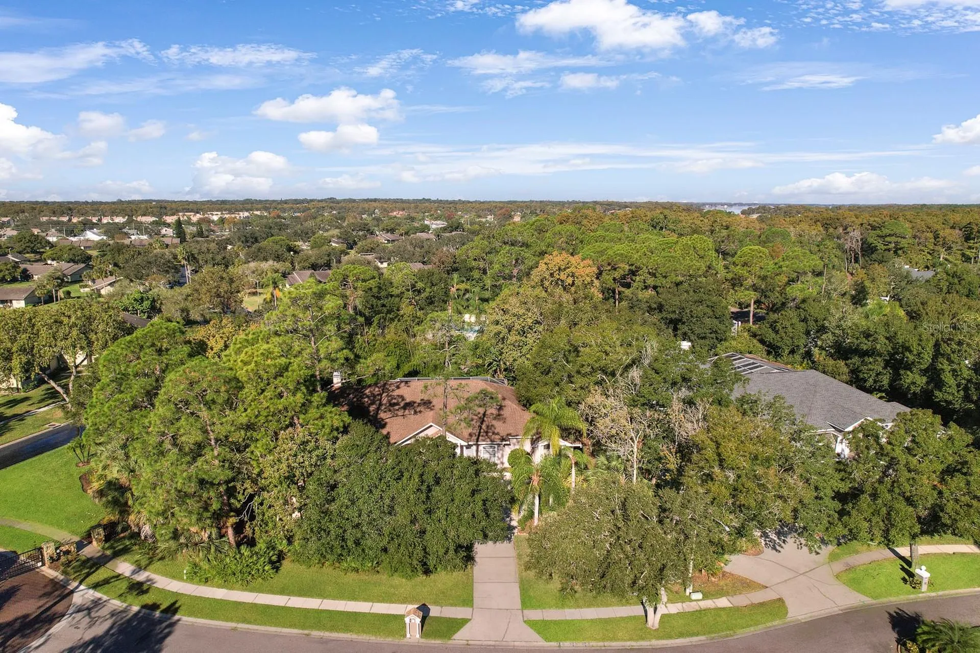 110 Deerpath Drive Oldsmar FL 34677