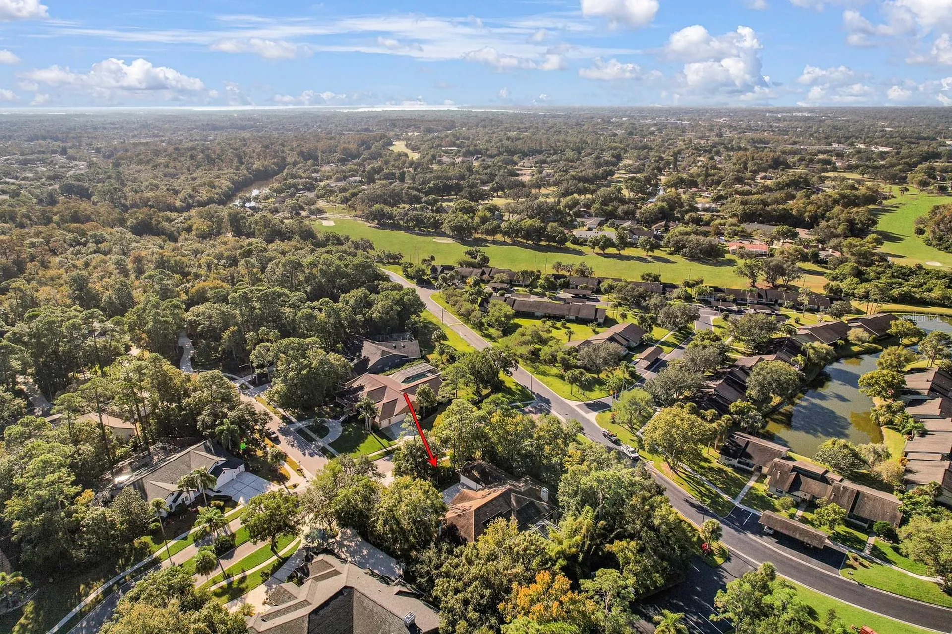 110 Deerpath Drive Oldsmar FL 34677