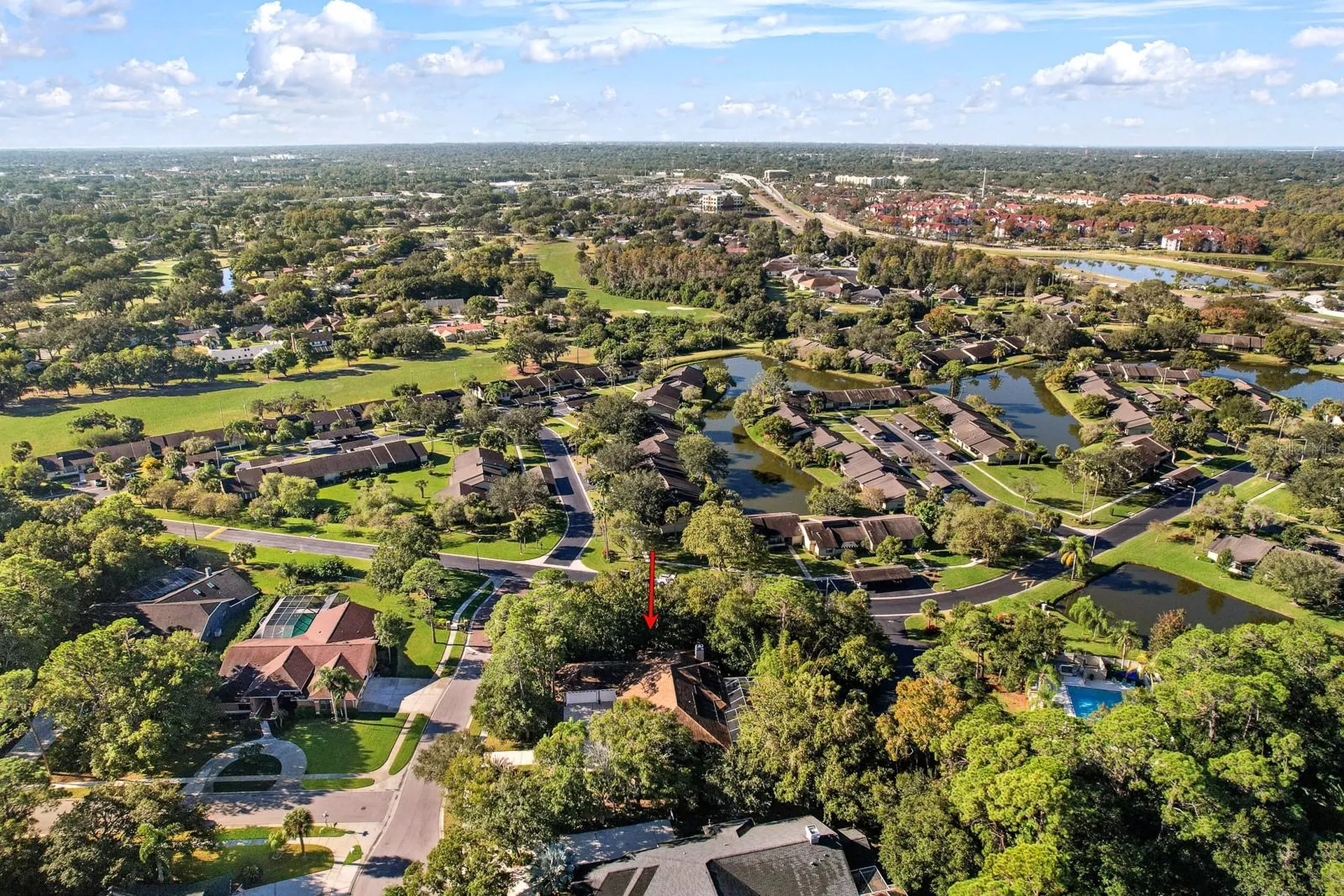 110 Deerpath Drive Oldsmar FL 34677