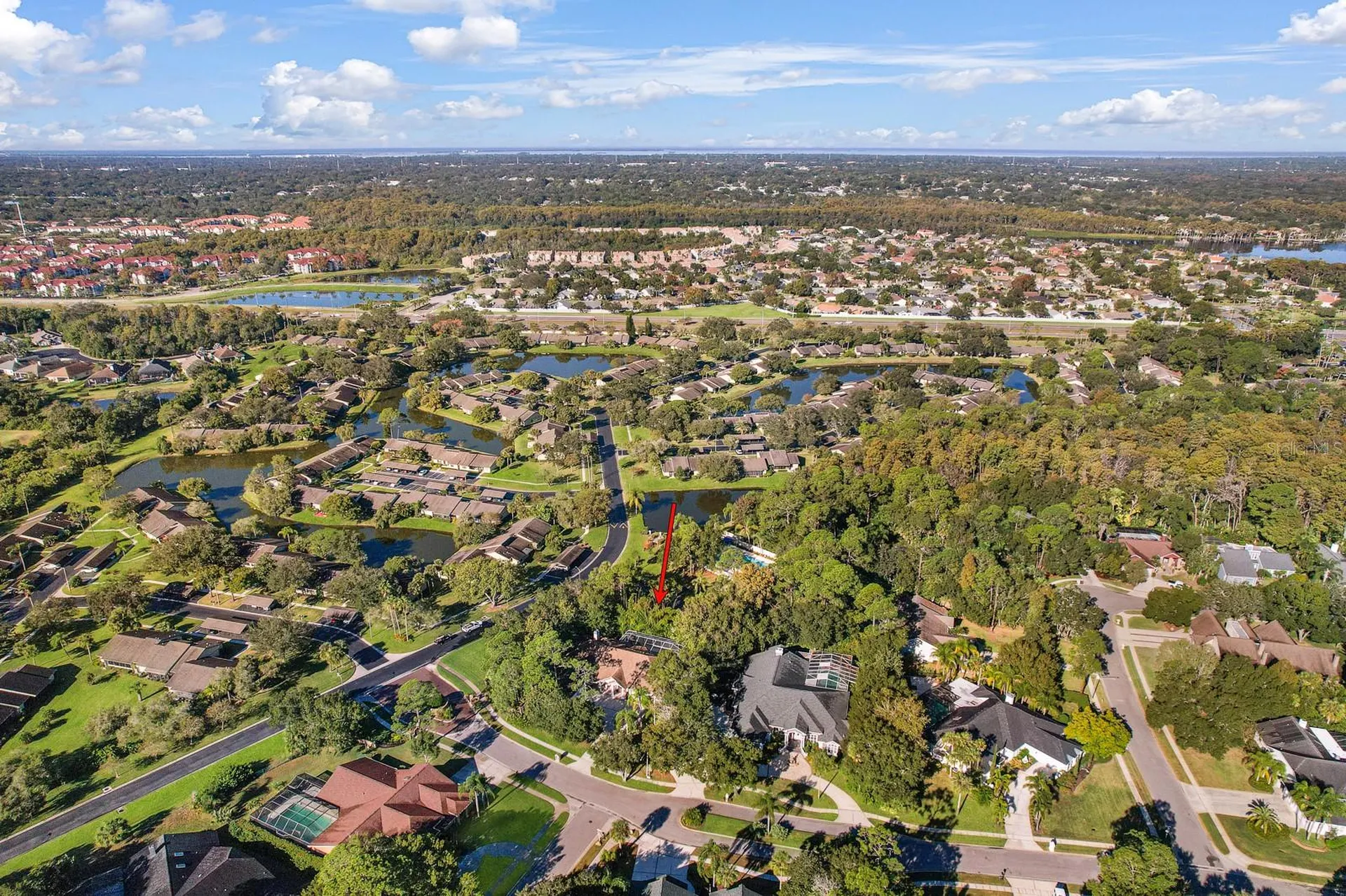 110 Deerpath Drive Oldsmar FL 34677