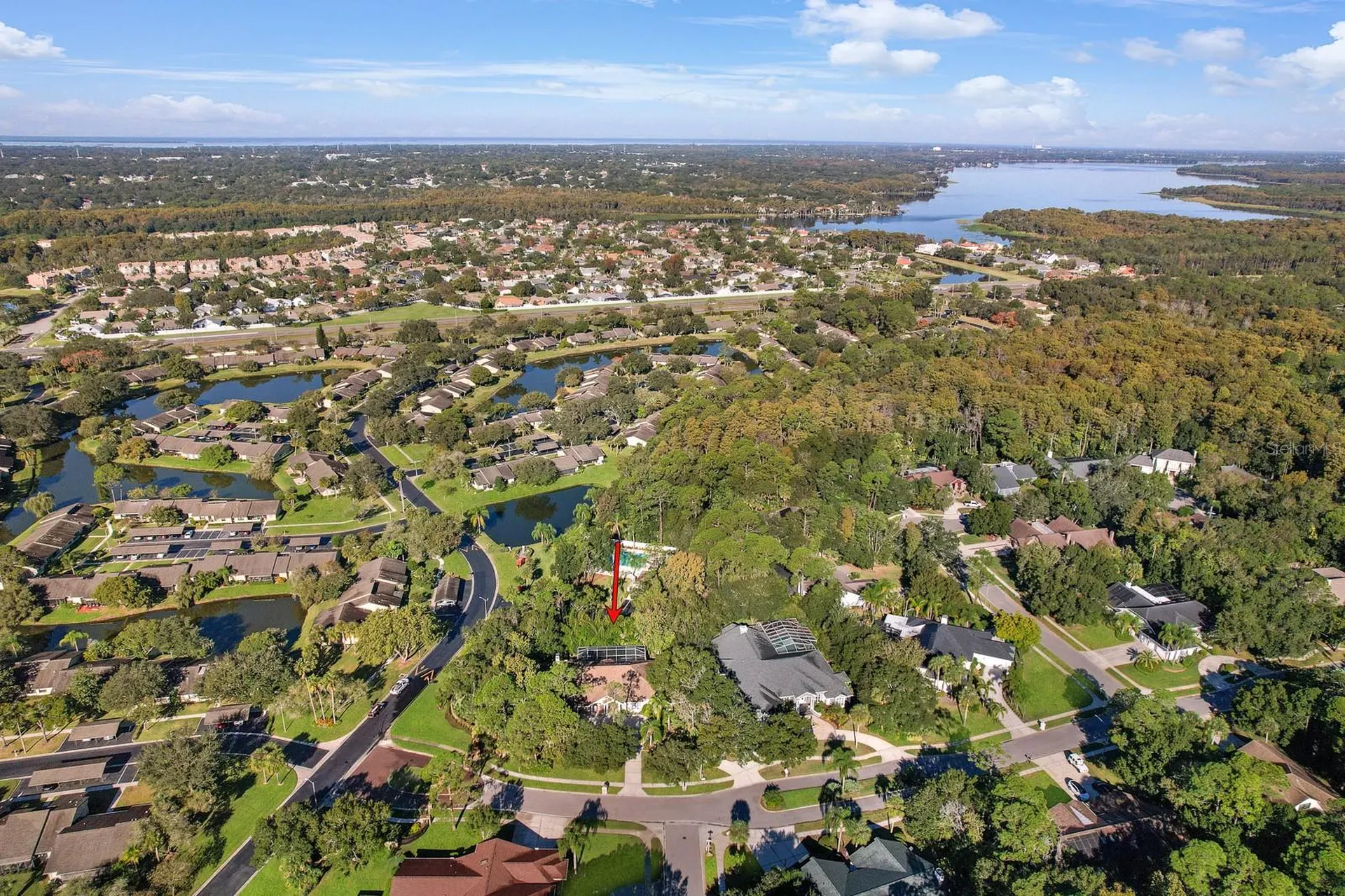 110 Deerpath Drive Oldsmar FL 34677