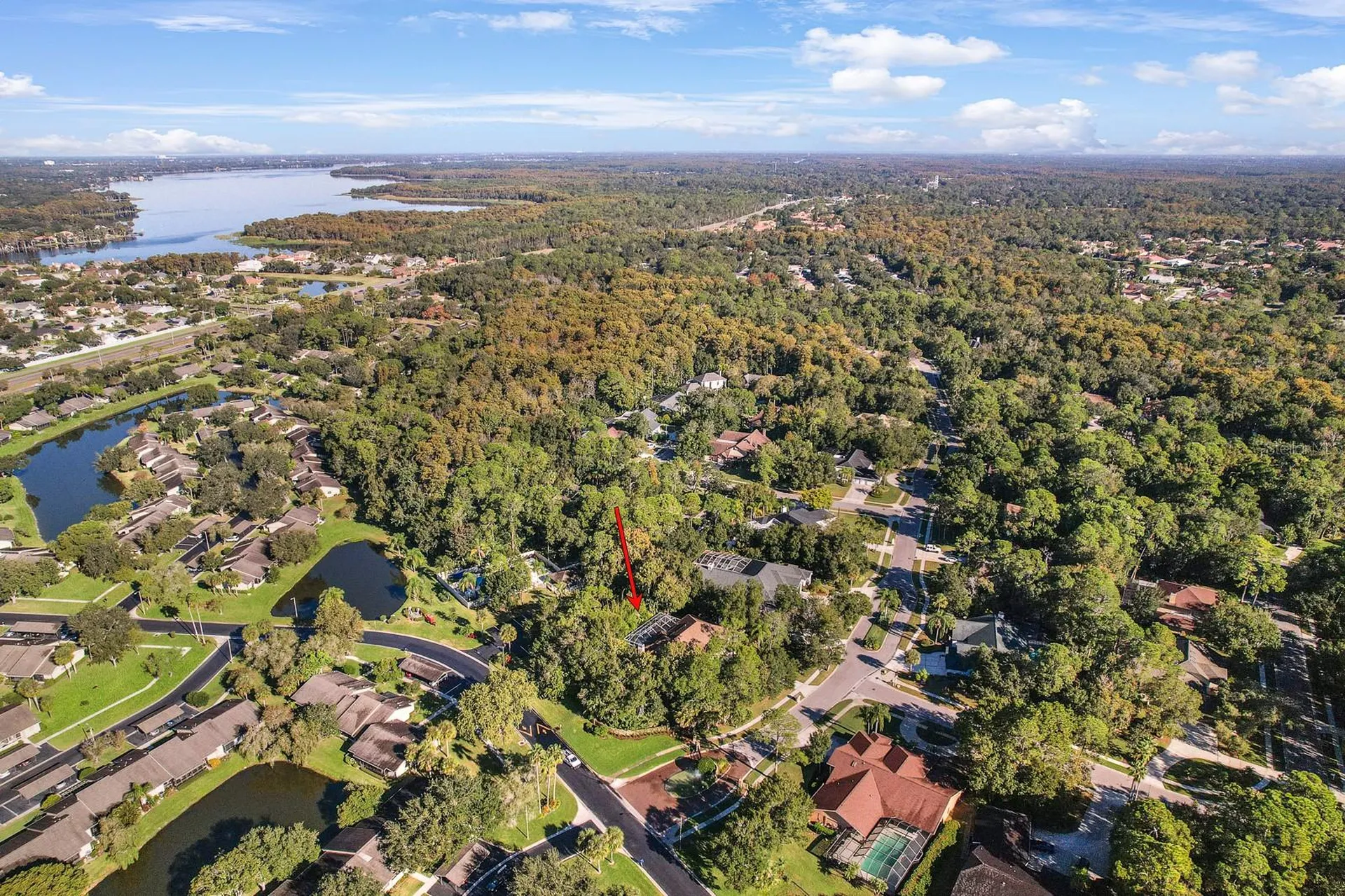 110 Deerpath Drive Oldsmar FL 34677