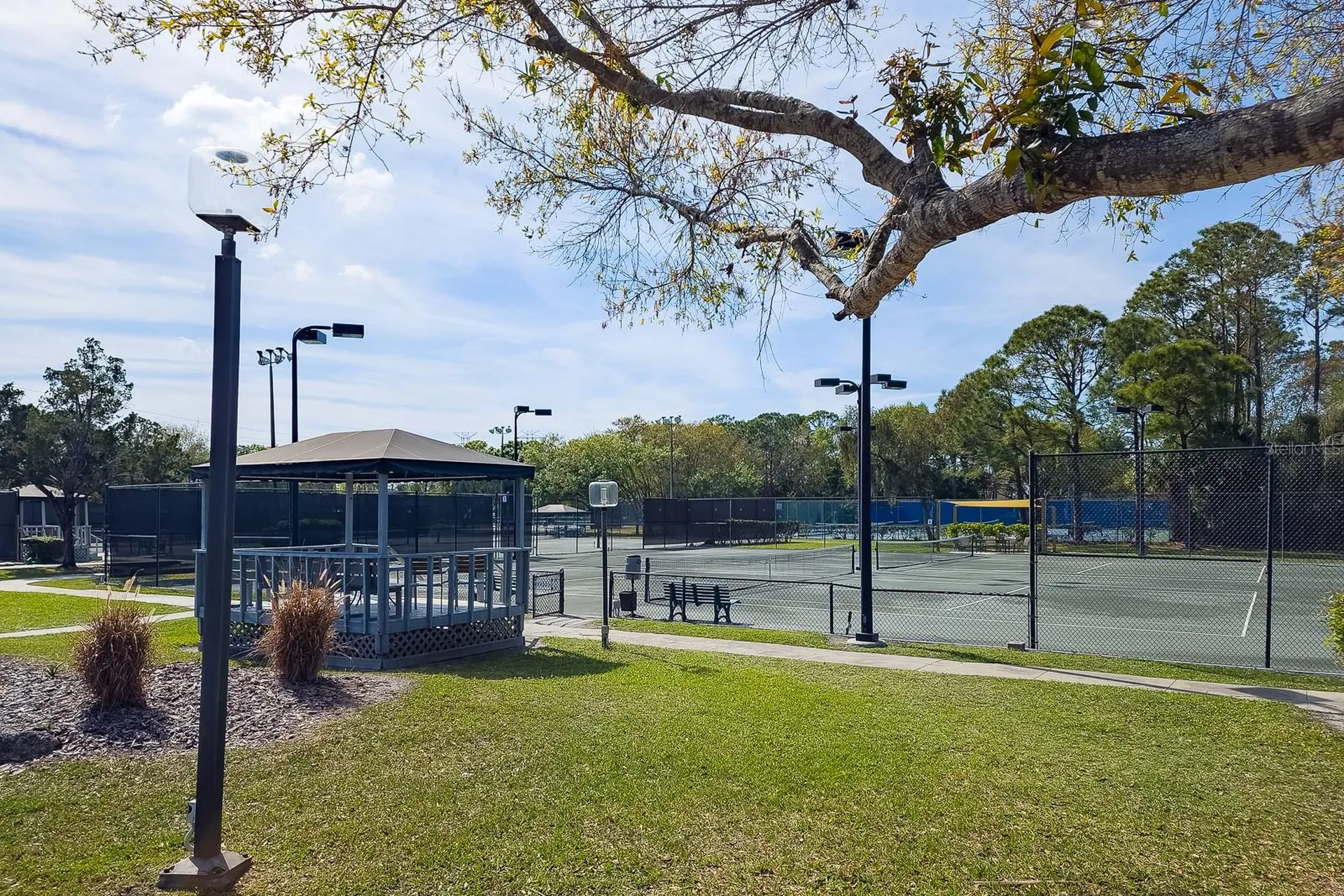 110 Deerpath Drive Oldsmar FL 34677