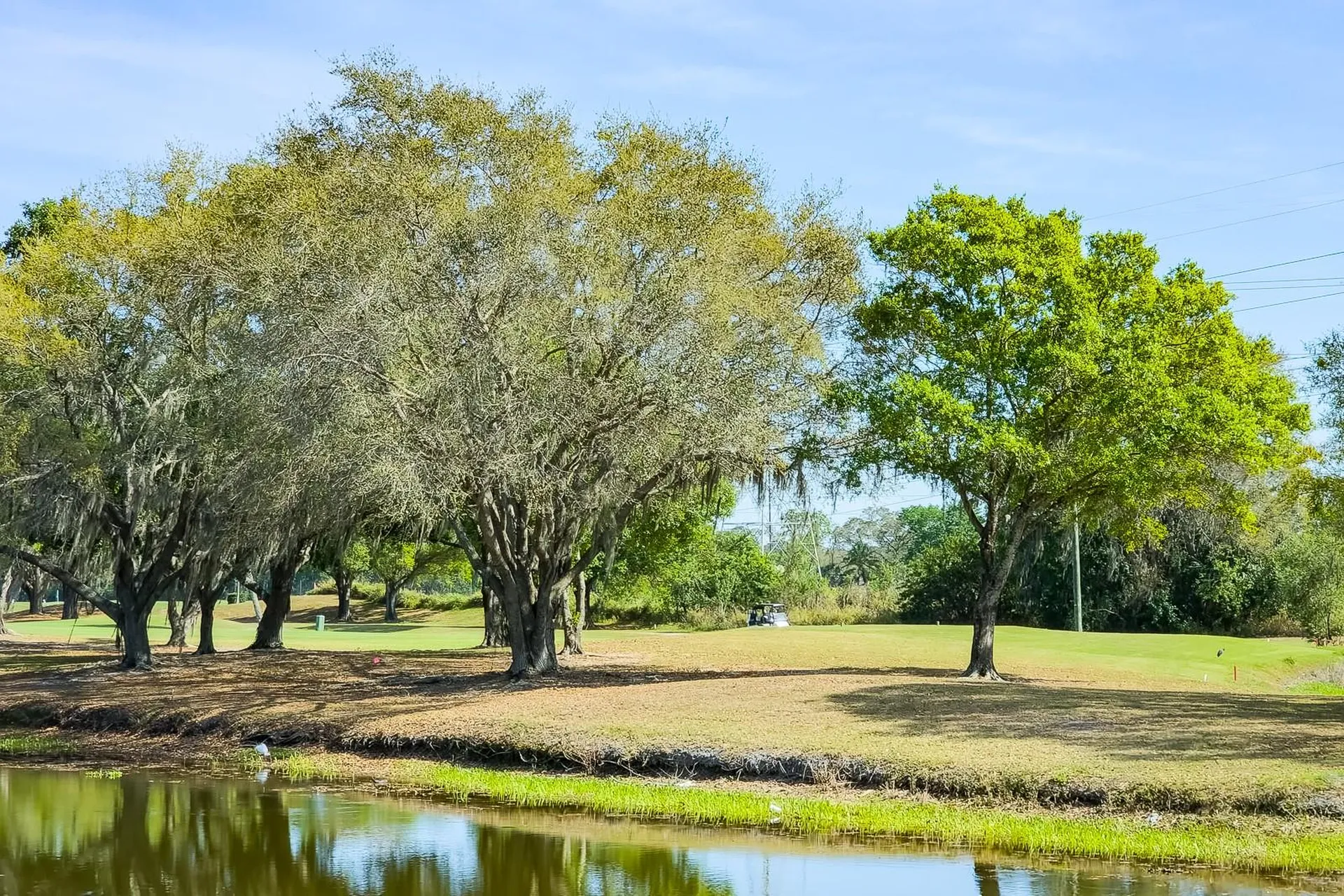 110 Deerpath Drive Oldsmar FL 34677