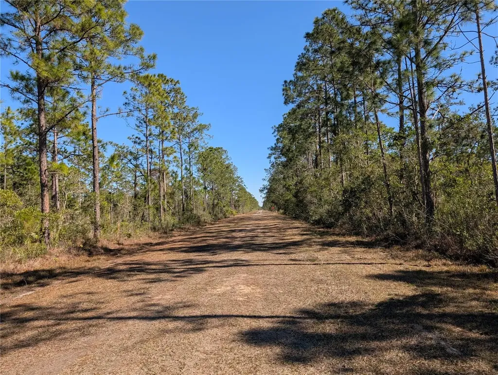 206 Ixora Drive Indian Lake Estates FL 33855