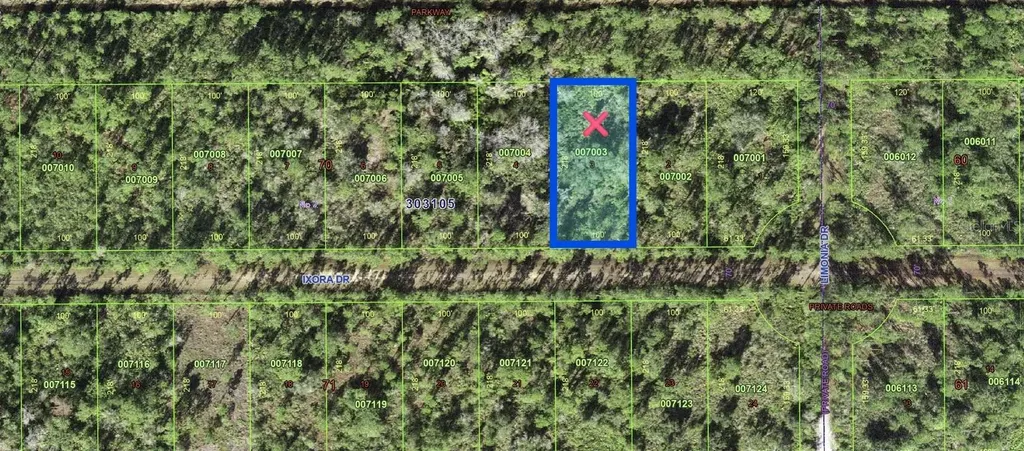206 Ixora Drive Indian Lake Estates FL 33855