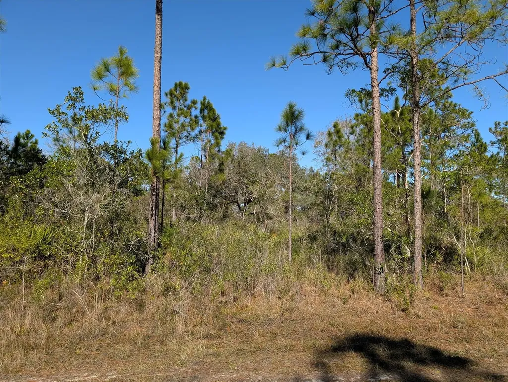 206 Ixora Drive Indian Lake Estates FL 33855