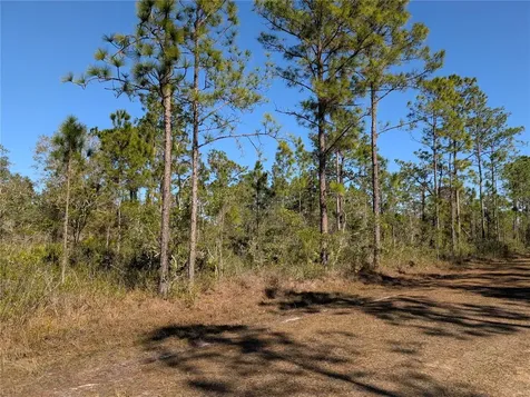 206 Ixora Drive Indian Lake Estates FL 33855