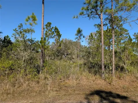 206 Ixora Drive Indian Lake Estates FL 33855