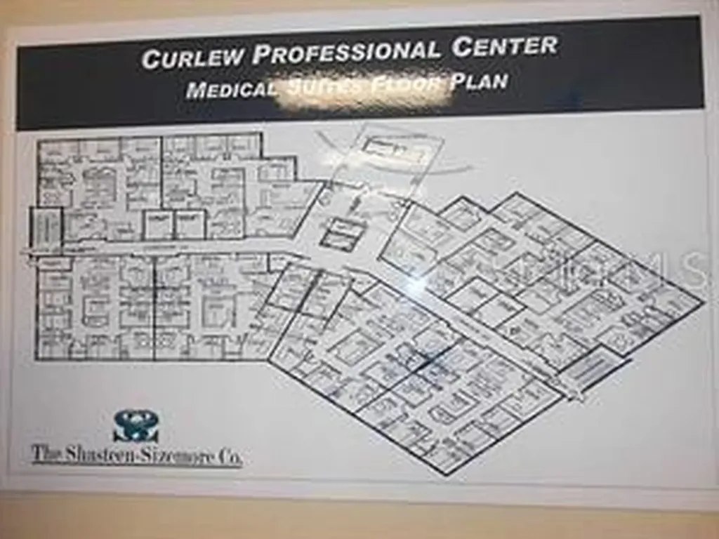 3180 Curlew Road Oldsmar FL 34677