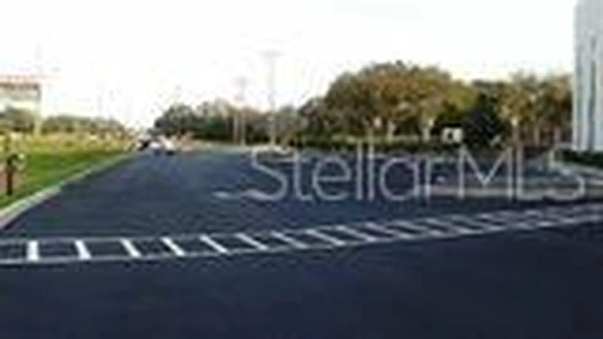 3180 Curlew Road Oldsmar FL 34677