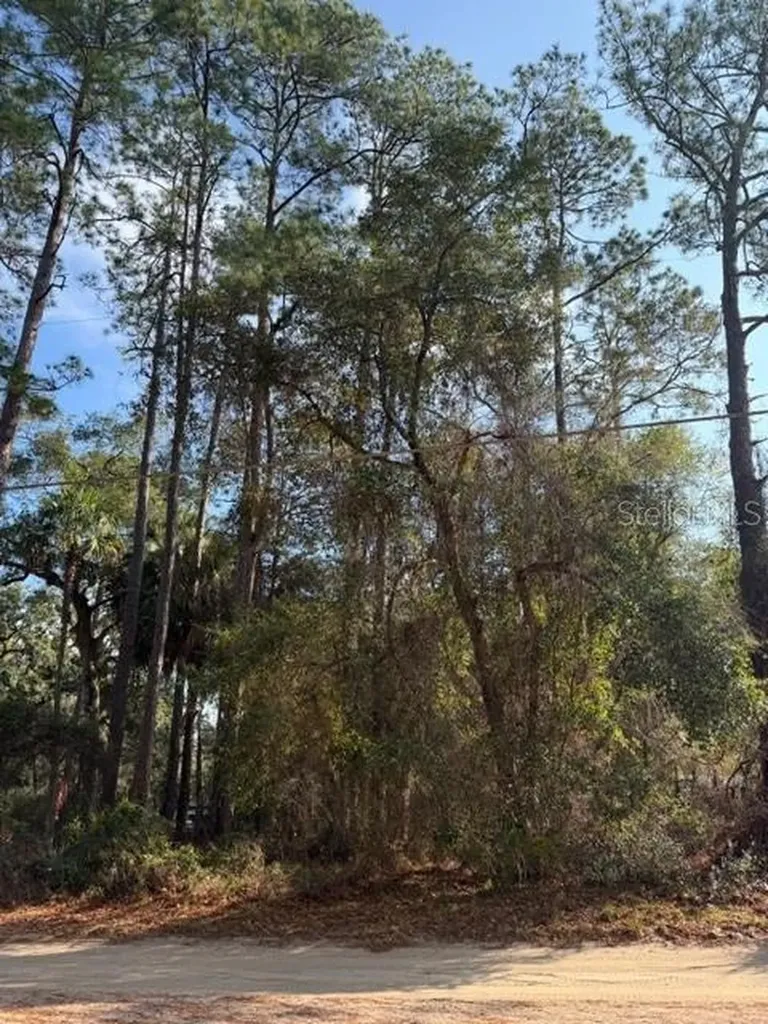 Tbd NE 236 Terrace Fort Mc Coy FL 32134