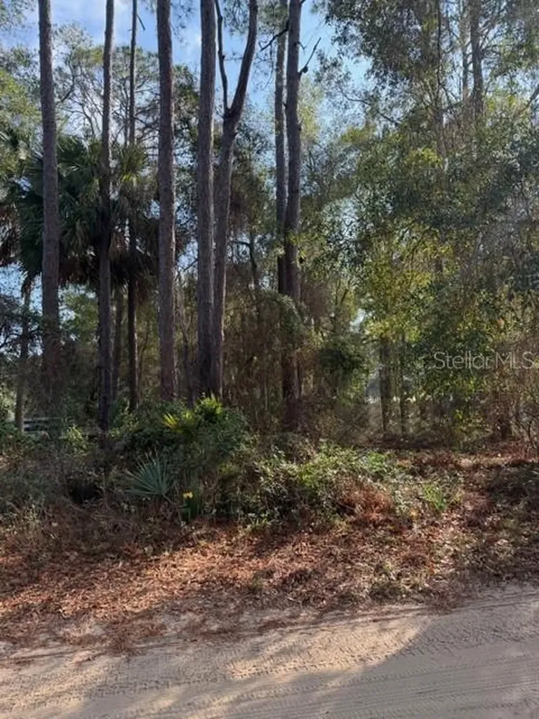 Tbd NE 236 Terrace Fort Mc Coy FL 32134