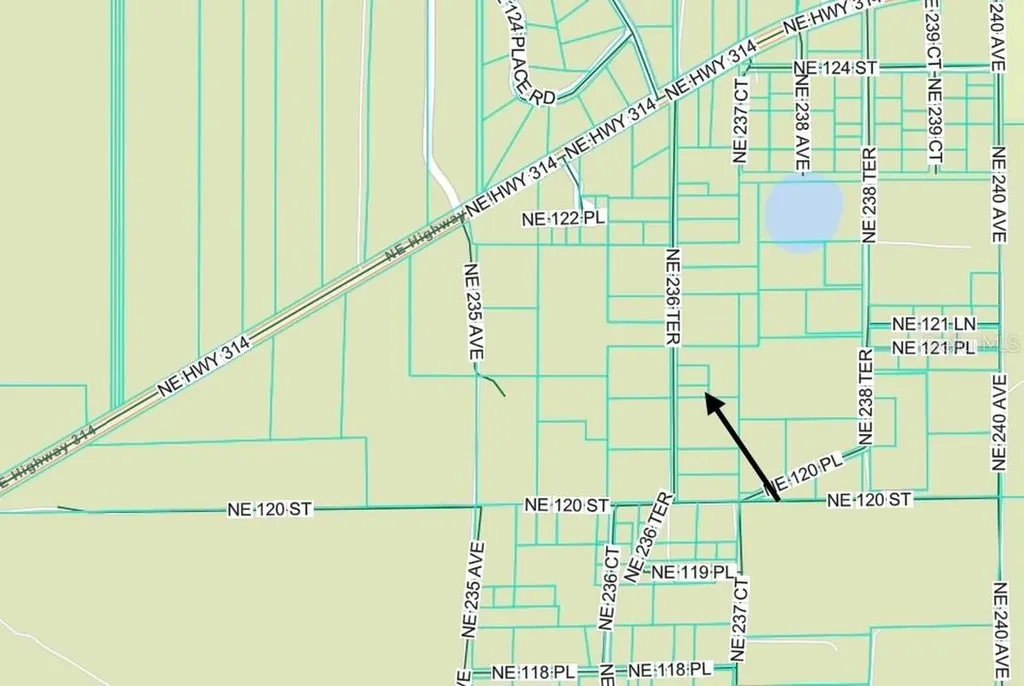 Tbd NE 236 Terrace Fort Mc Coy FL 32134