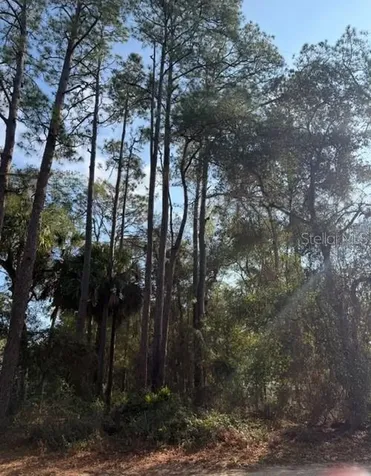 Tbd NE 236 Terrace Fort Mc Coy FL 32134