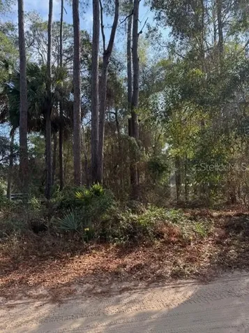 Tbd NE 236 Terrace Fort Mc Coy FL 32134