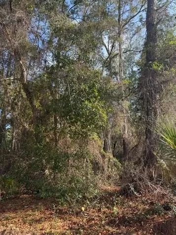 Tbd NE 236 Terrace Fort Mc Coy FL 32134