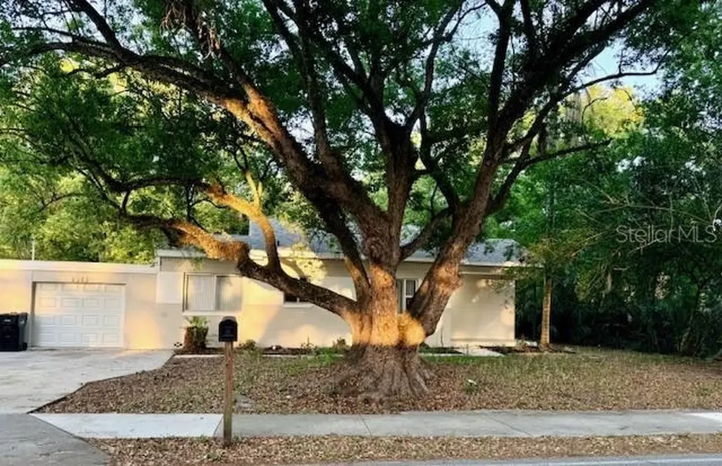 1513 Renee Avenue Orlando FL 32825