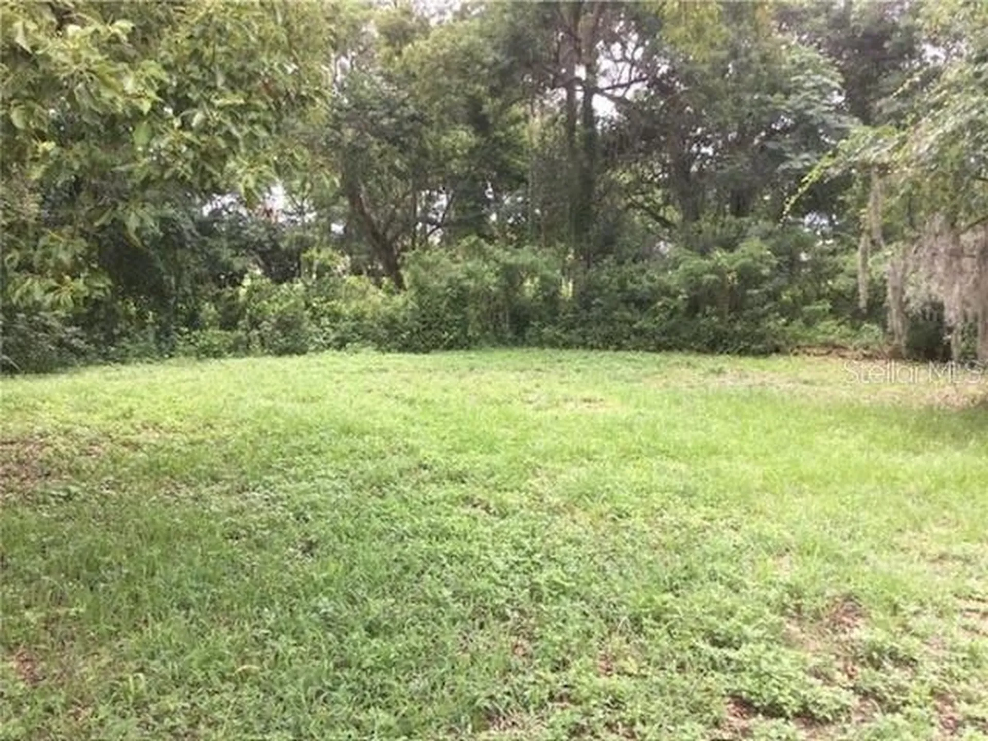 1513 Renee Avenue Orlando FL 32825