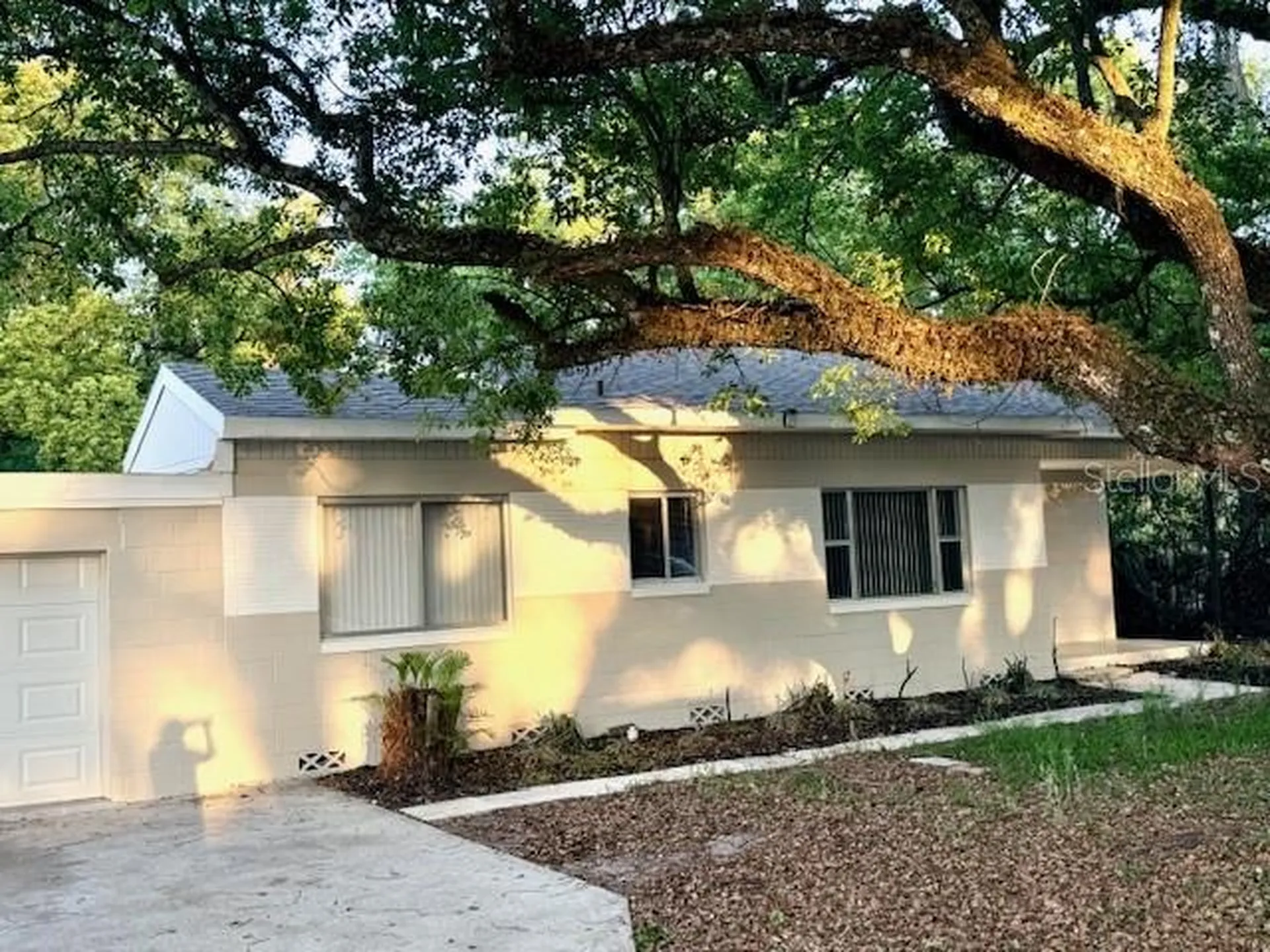 1513 Renee Avenue Orlando FL 32825