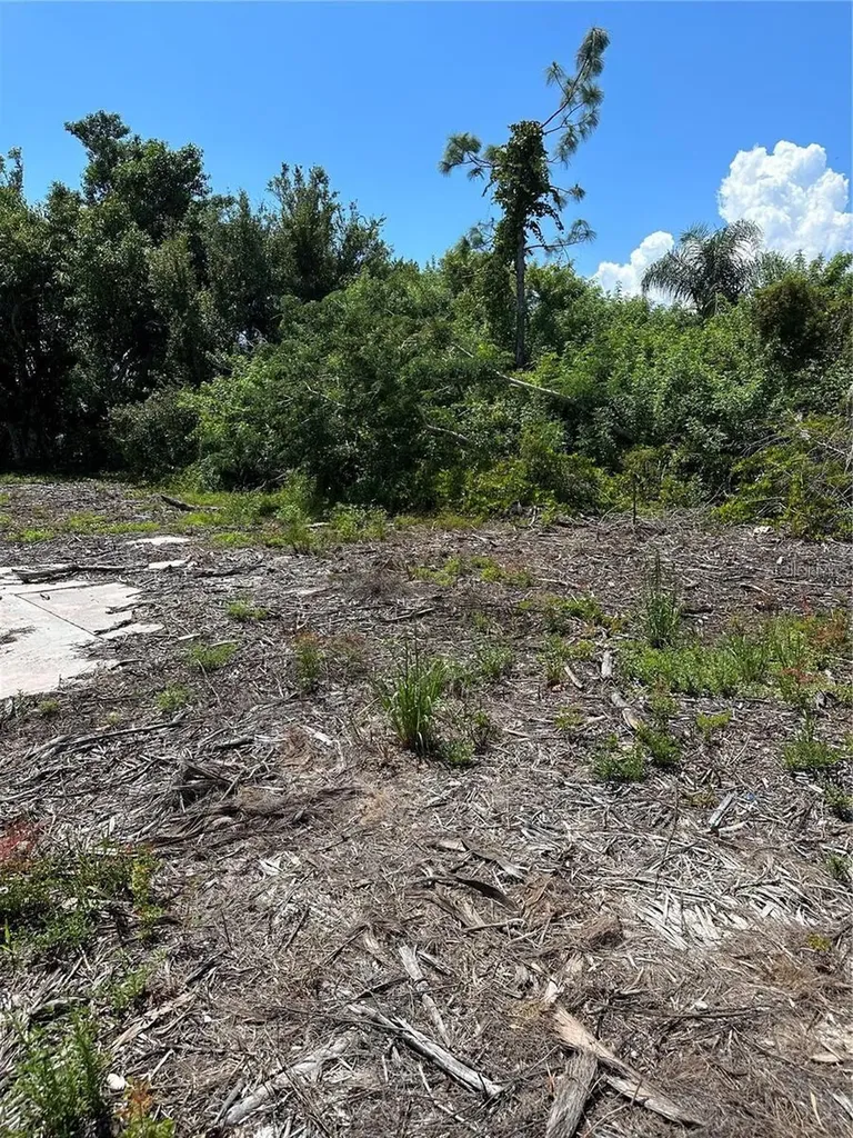 1015 Elm Street Punta Gorda FL 33950