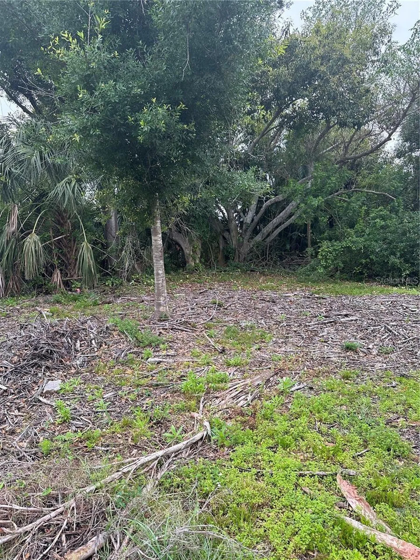 1015 Elm Street Punta Gorda FL 33950