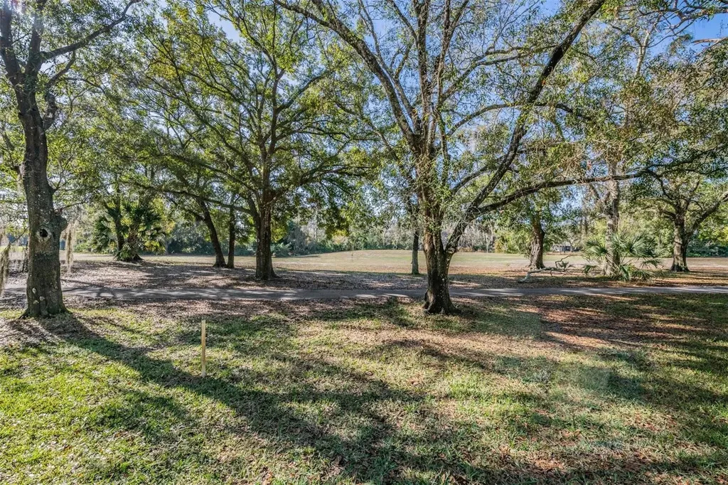 3505 Tarpon Woods Boulevard Palm Harbor FL 34685