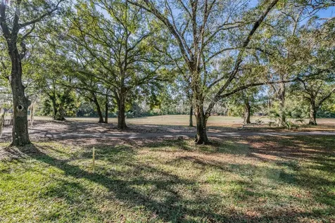 3505 Tarpon Woods Boulevard Palm Harbor FL 34685