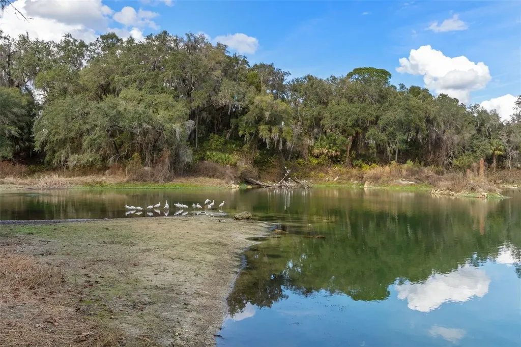 2786 N Canterbury Lake Drive Hernando FL 34442
