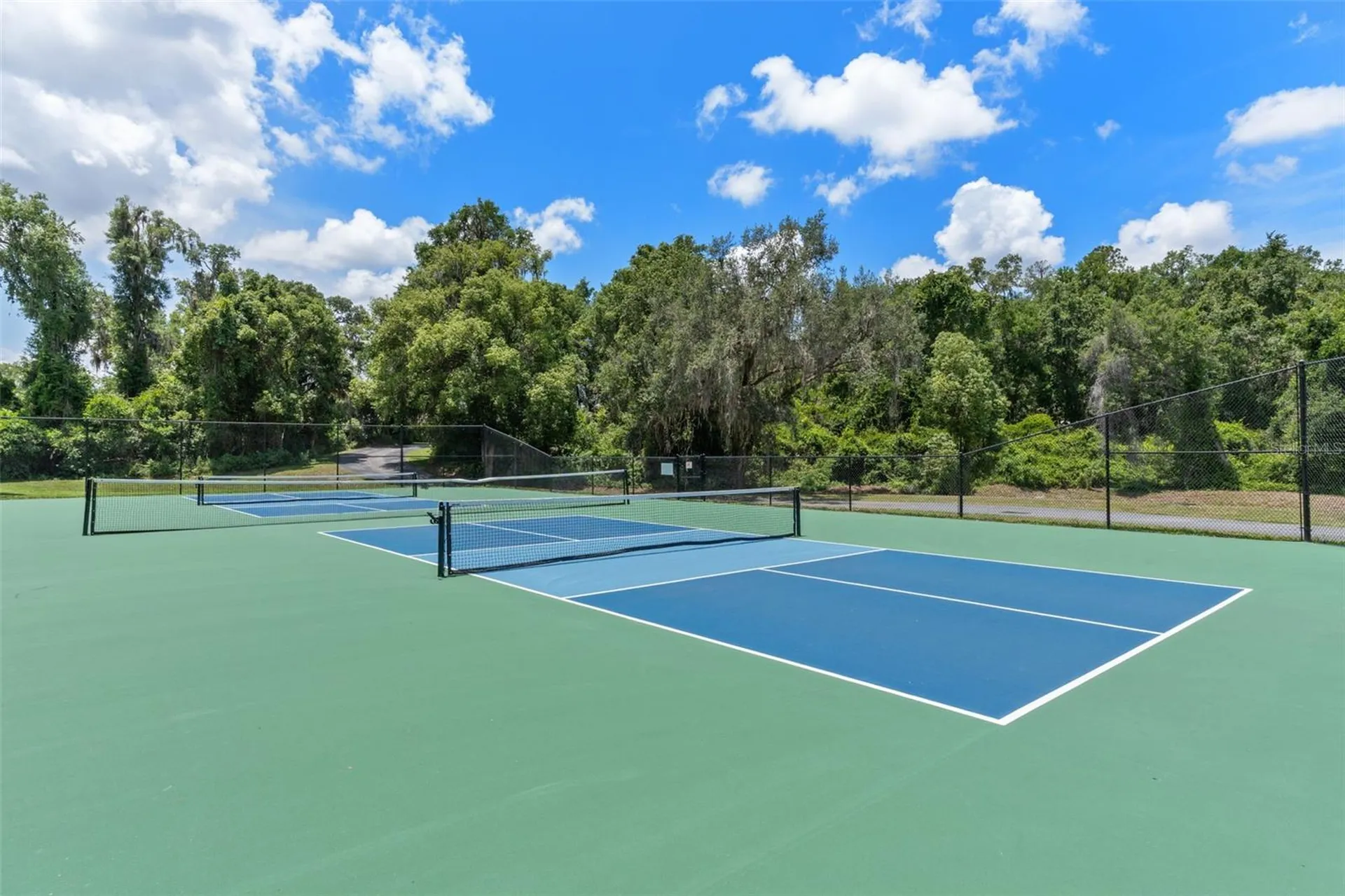 2786 N Canterbury Lake Drive Hernando FL 34442