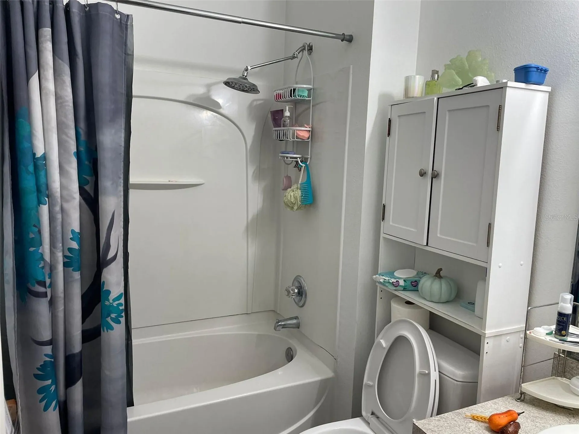 13038 Oulton Circle Orlando FL 32832