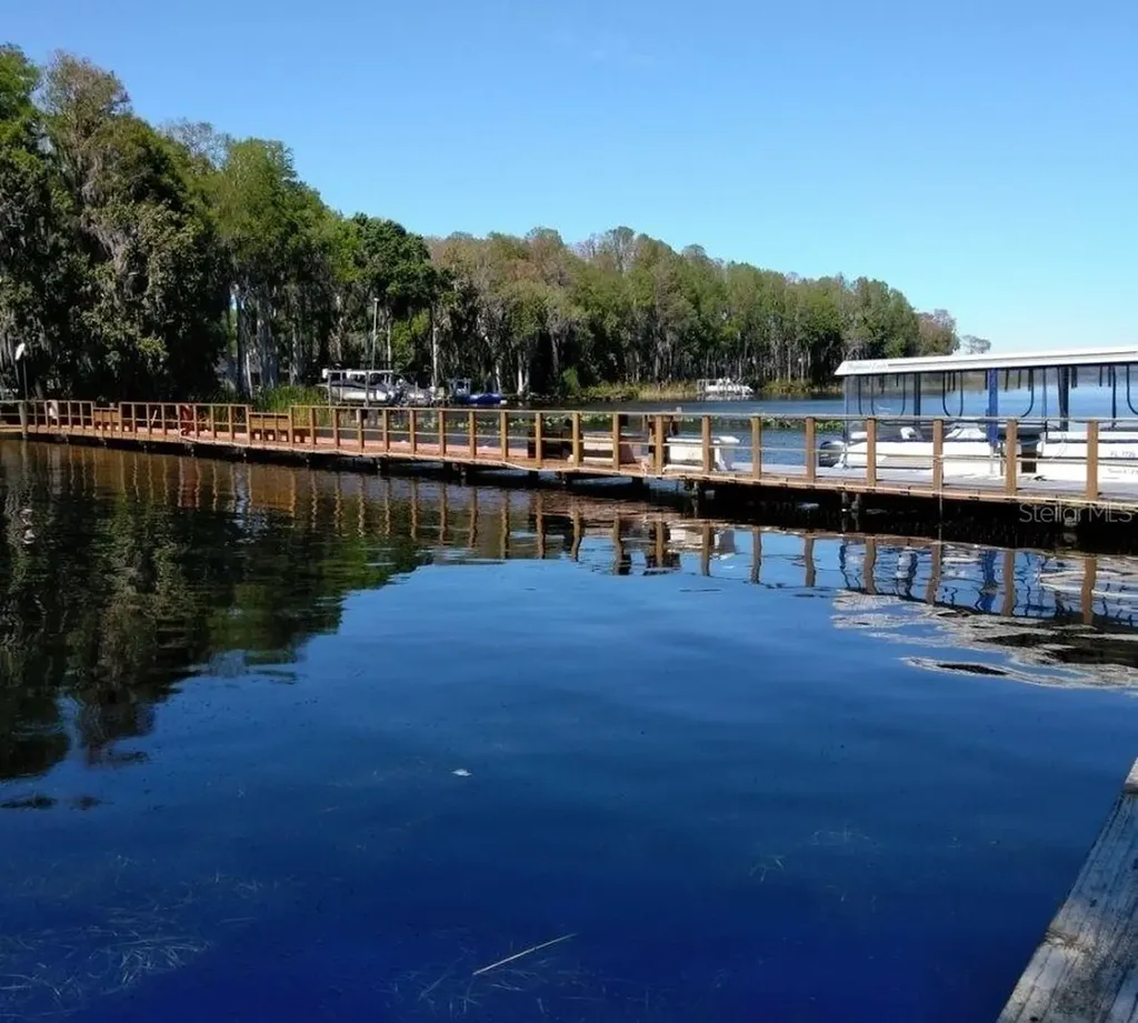 2137 Malcolm Drive Palm Harbor FL 34684