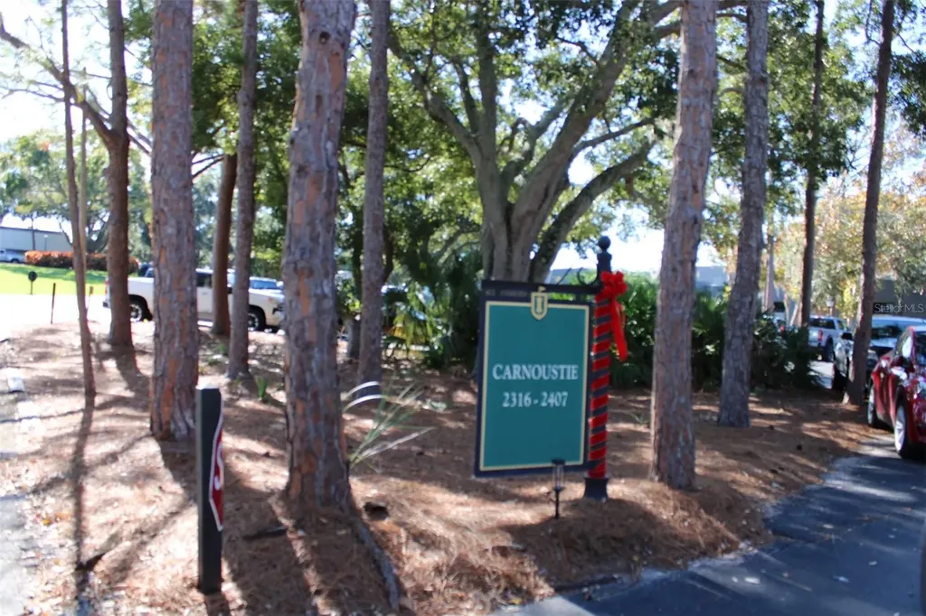 36750 Us Highway 19 N Palm Harbor FL 34683