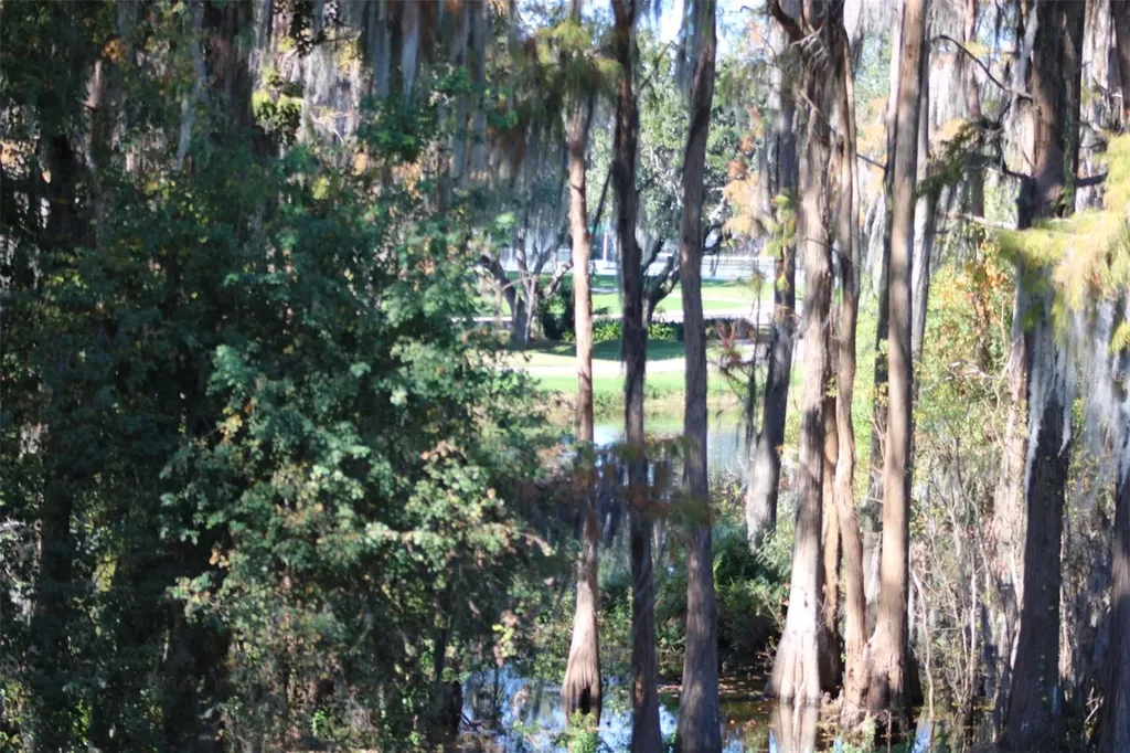 36750 Us Highway 19 N Palm Harbor FL 34683