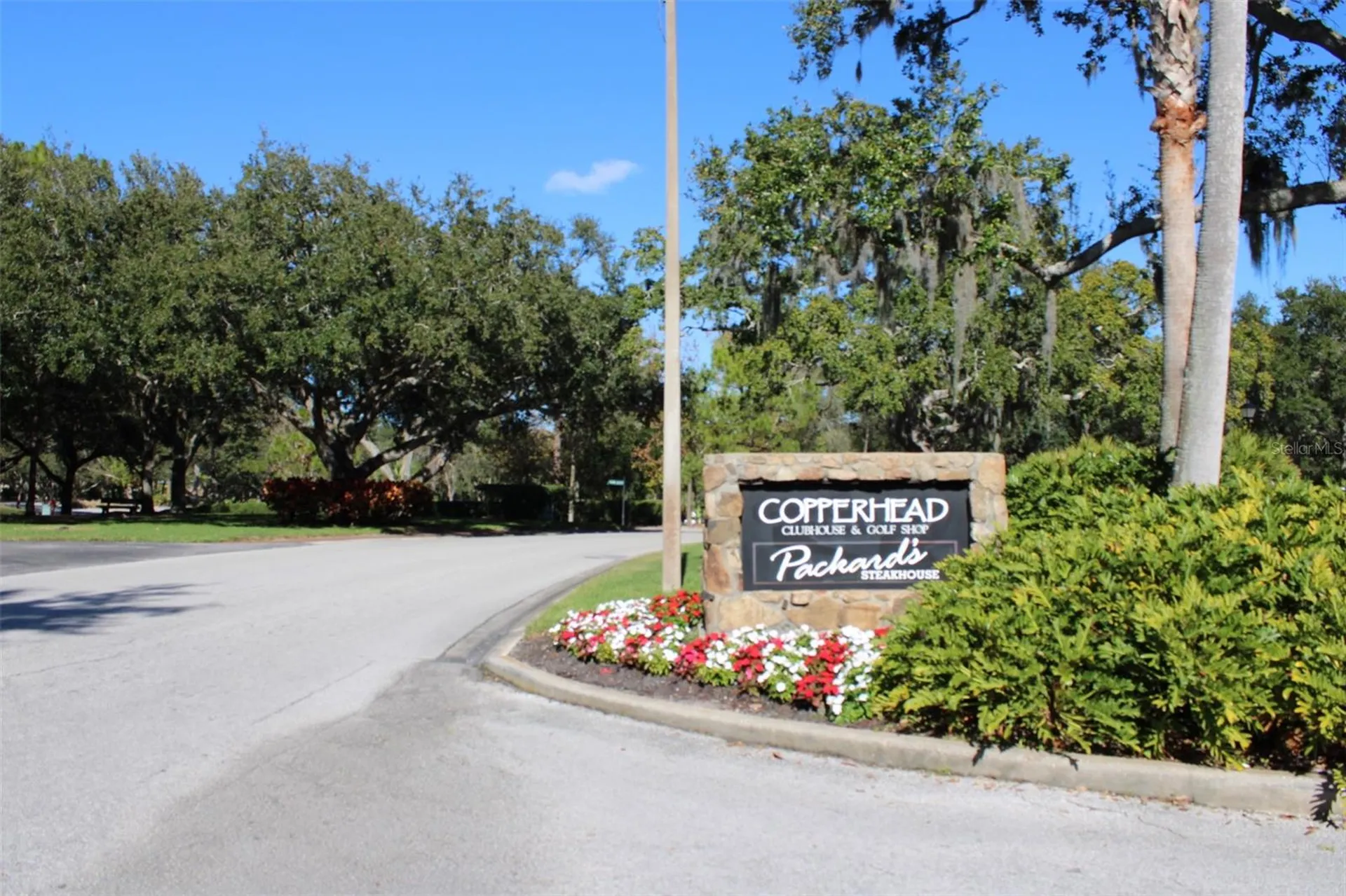 36750 Us Highway 19 N Palm Harbor FL 34683