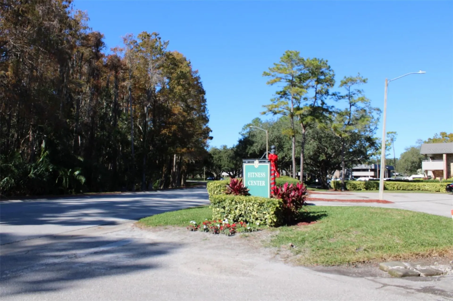 36750 Us Highway 19 N Palm Harbor FL 34683