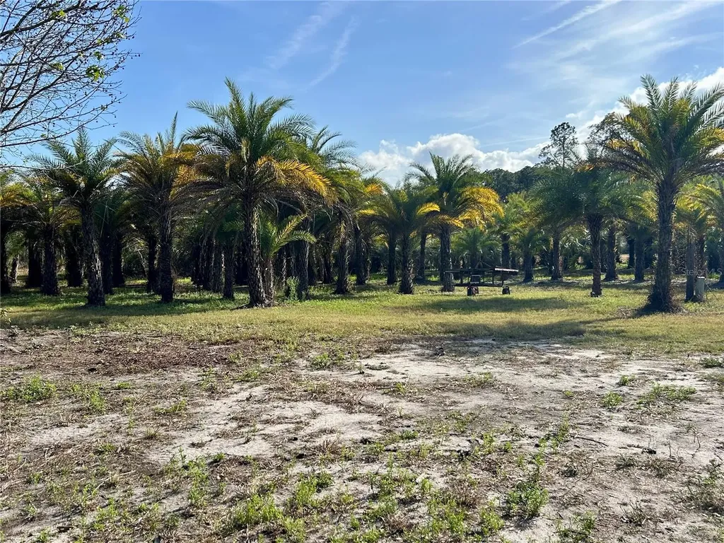 12714 State Road 33 Groveland FL 34736