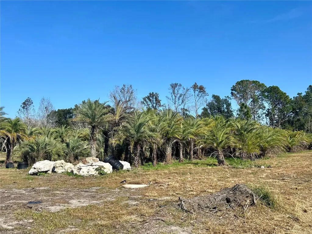12714 State Road 33 Groveland FL 34736