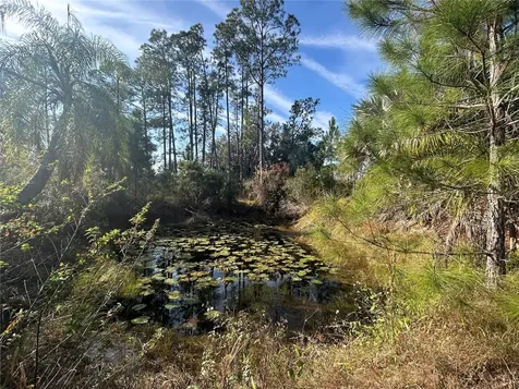 12714 State Road 33 Groveland FL 34736