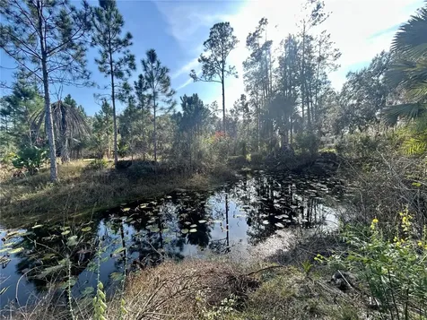 12714 State Road 33 Groveland FL 34736