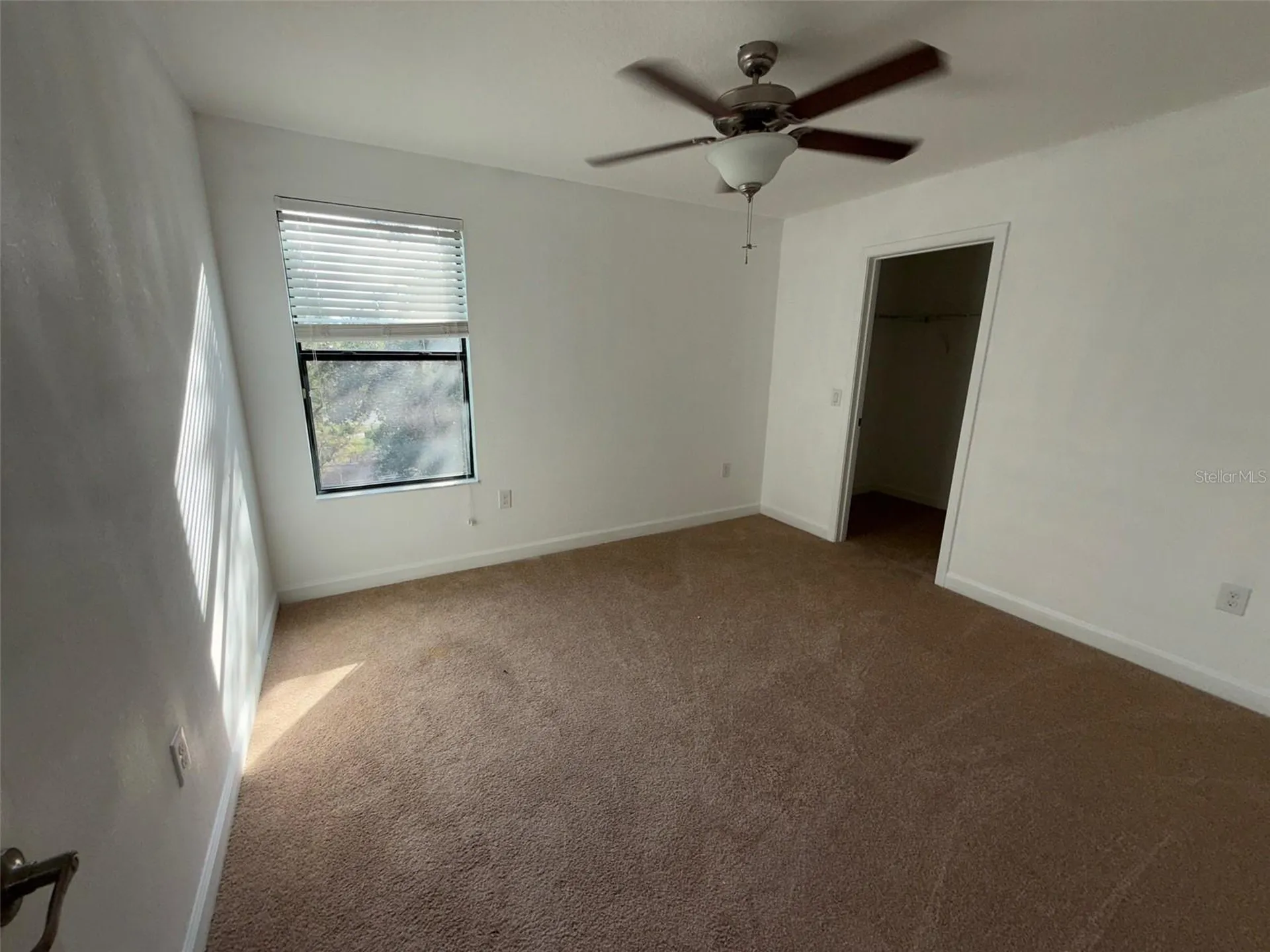 950 Terra Vista Street Brandon FL 33511